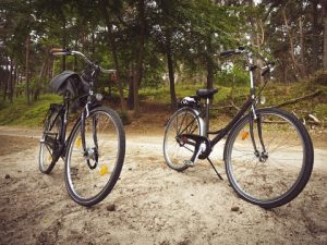 trek hybrid vs mountain bike